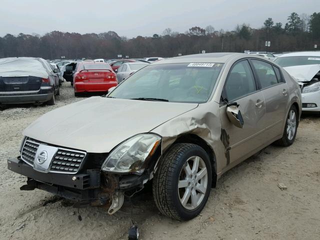 1N4BA41E16C814498 - 2006 NISSAN MAXIMA SE GOLD photo 2