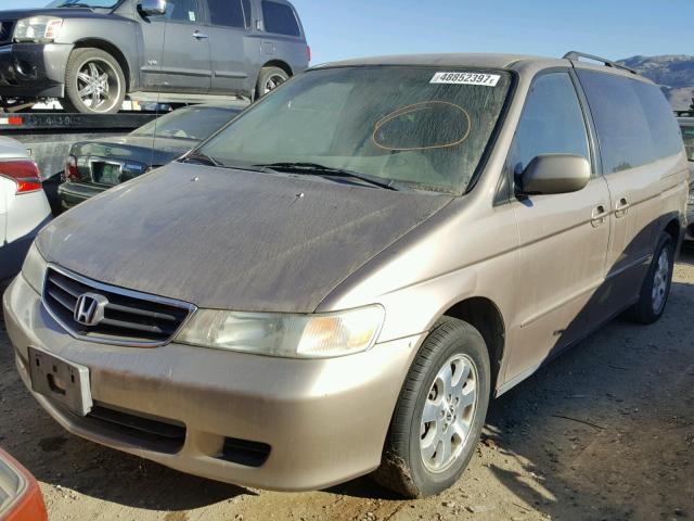 5FNRL18964B123235 - 2004 HONDA ODYSSEY EX BROWN photo 2