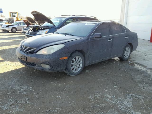 JTHBA30GX45022678 - 2004 LEXUS ES 330 BLACK photo 2