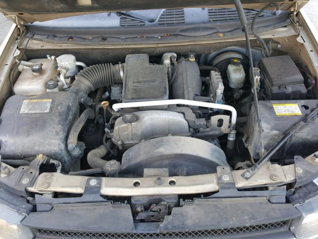 1GNDS13S462352226 - 2006 CHEVROLET TRAILBLAZE GOLD photo 7