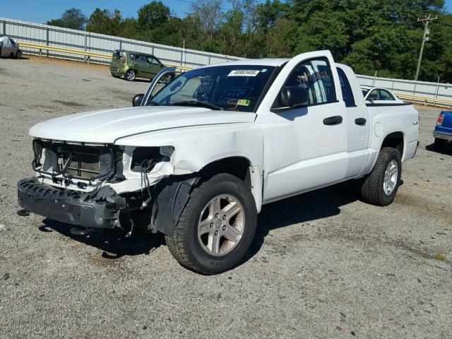 1D7RW3GK4BS667245 - 2011 DODGE DAKOTA SLT WHITE photo 2