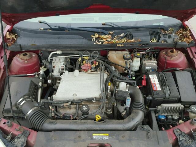 1G1ZT64864F162261 - 2004 CHEVROLET MALIBU MAX 栗色 照片 7