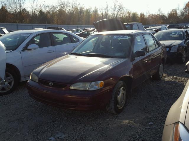 2T1BR12E6WC096163 - 1998 TOYOTA COROLLA VE RED photo 2