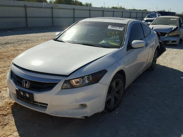 1HGCS2B82BA006161 - 2011 HONDA ACCORD EXL WHITE photo 2