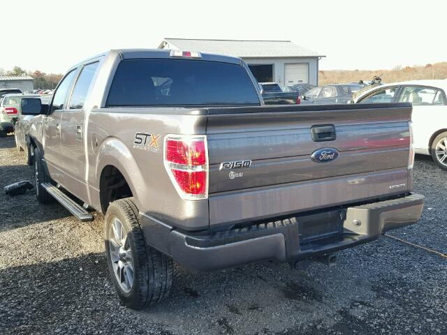 1FTFW1EF9EKE75962 - 2014 FORD F150 SUPER GRAY photo 3