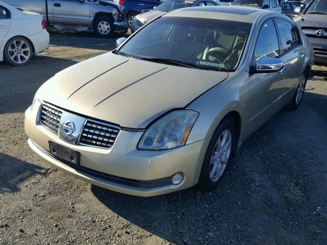 1N4BA41E64C884995 - 2004 NISSAN MAXIMA SE GOLD photo 2