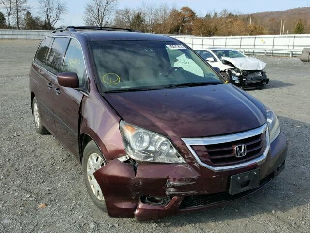 5FNRL38259B010124 - 2009 HONDA ODYSSEY LX BURGUNDY photo 1