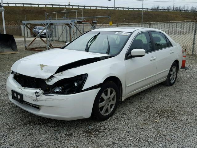 1HGCM66505A014622 - 2005 HONDA ACCORD EX WHITE photo 2