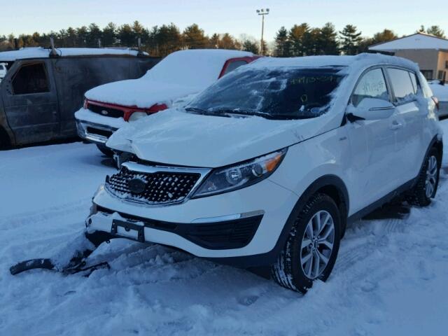 KNDPBCAC1F7711905 - 2015 KIA SPORTAGE L WHITE photo 2