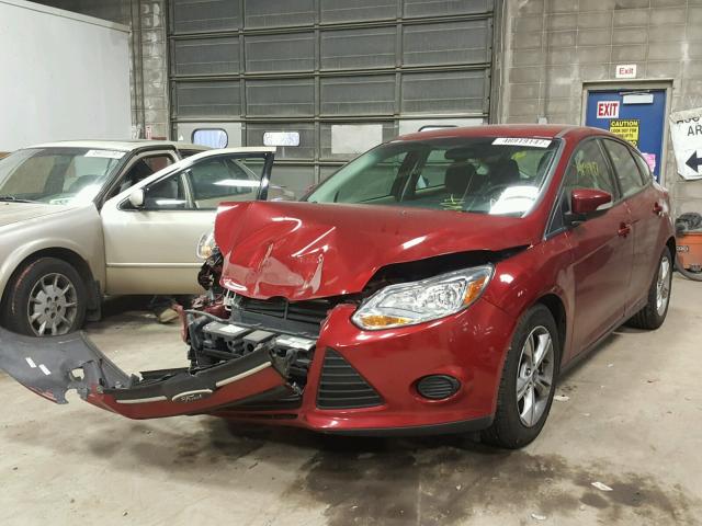 1FADP3K20DL209648 - 2013 FORD FOCUS SE RED photo 2