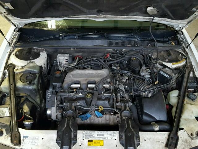 1G2WJ52M4TF280953 - 1996 PONTIAC GRAND PRIX WHITE photo 7