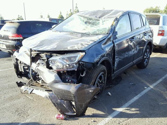 JTMZFREV1HJ141468 - 2017 TOYOTA RAV4 LE Boz foto 2