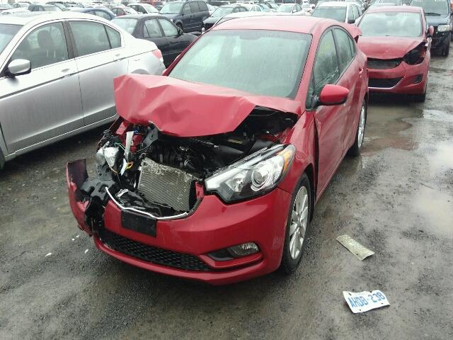 KNAFX4A69G5491419 - 2016 KIA FORTE LX RED photo 2