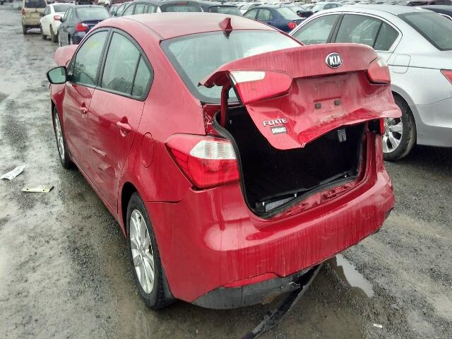 KNAFX4A69G5491419 - 2016 KIA FORTE LX RED photo 3