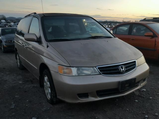 2HKRL18662H540441 - 2002 HONDA ODYSSEY EX GOLD photo 1