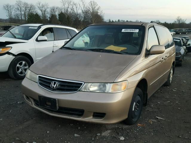 2HKRL18662H540441 - 2002 HONDA ODYSSEY EX GOLD photo 2