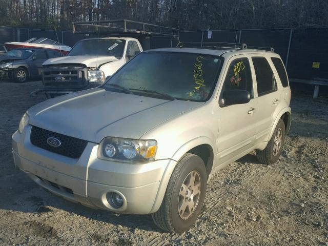 1FMYU94125KB06648 - 2005 FORD ESCAPE LIM GOLD photo 2