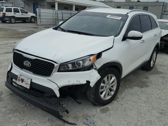 5XYPG4A59GG107452 - 2016 KIA SORENTO LX WHITE photo 2