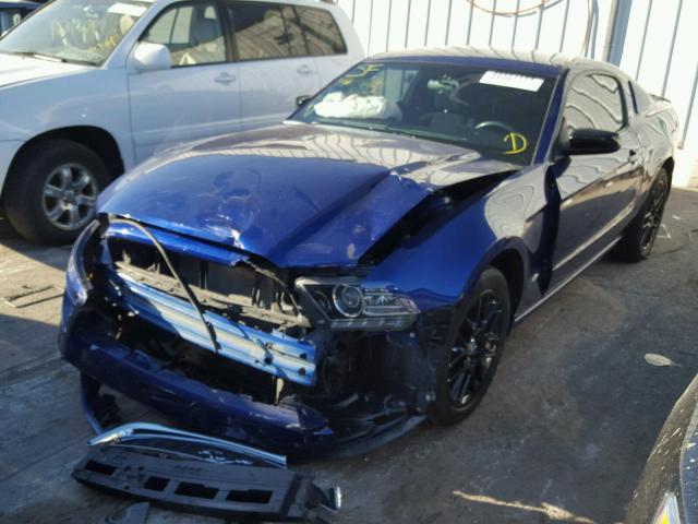 1ZVBP8AM1E5298313 - 2014 FORD MUSTANG BLUE photo 2