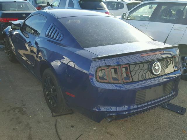 1ZVBP8AM1E5298313 - 2014 FORD MUSTANG BLUE photo 3