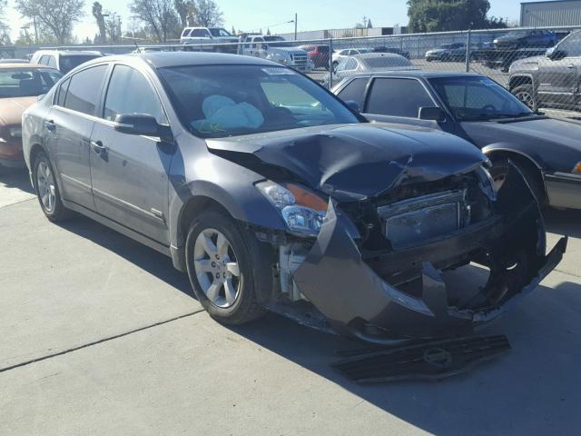 1N4CL21E19C155751 - 2009 NISSAN ALTIMA HYB GRAY photo 1