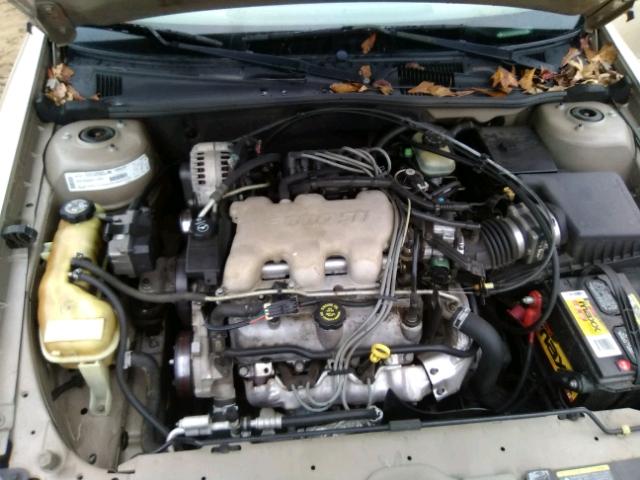 1G1NE52J22M590278 - 2002 CHEVROLET MALIBU LS 米色 照片 7