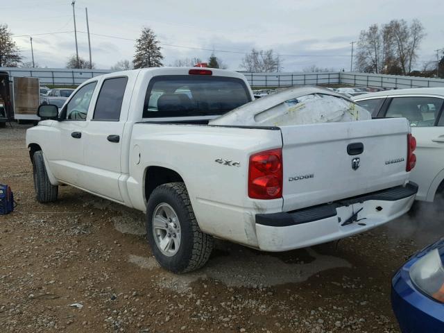 1D7HW28K89S735237 - 2009 DODGE DAKOTA ST WHITE photo 3