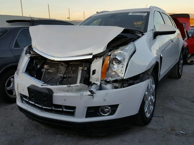 3GYFNDE3XDS529597 - 2013 CADILLAC SRX PERFOR 白色 照片 2