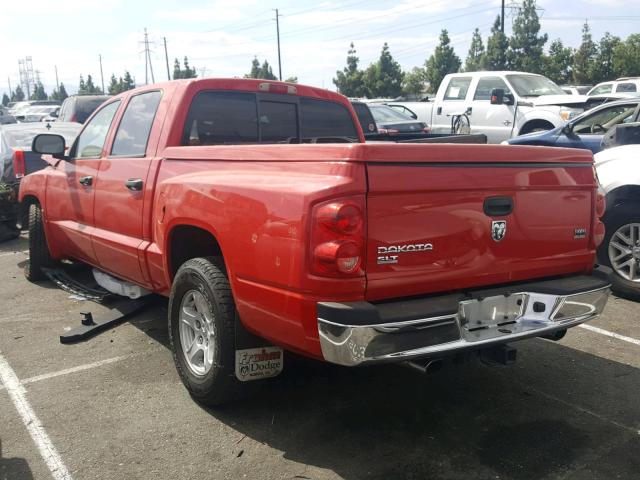 1D7HE48N35S113390 - 2005 DODGE DAKOTA QUA RED photo 3