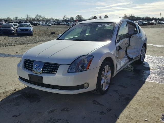 1N4BA41E24C837902 - 2004 NISSAN MAXIMA SE WHITE photo 2