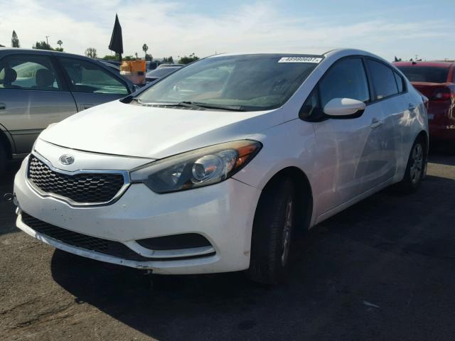 KNAFK4A67E5055275 - 2014 KIA FORTE LX WHITE photo 2