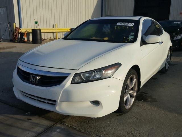 1HGCS2B86BA007412 - 2011 HONDA ACCORD EXL WHITE photo 2