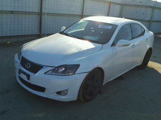 JTHBF5C23A2096499 - 2010 LEXUS IS 250 WHITE photo 2