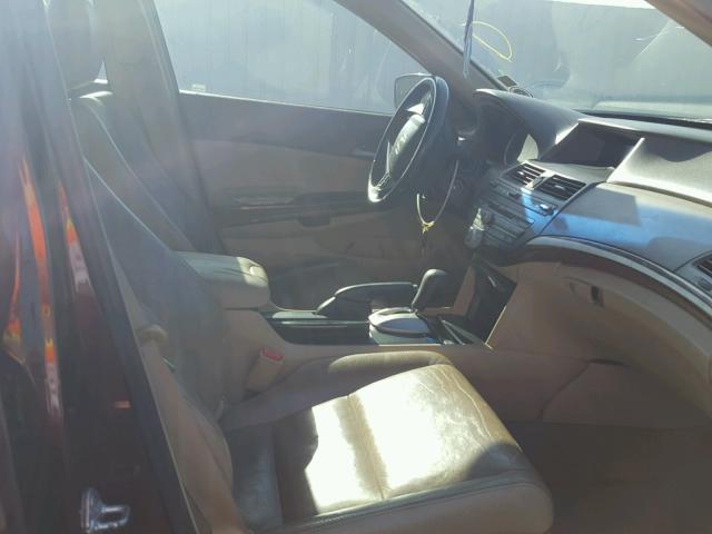 1HGCP36879A013179 - 2009 HONDA ACCORD EXL BURGUNDY photo 5