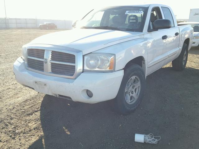 1D7HW48N45S315703 - 2005 DODGE DAKOTA QUA WHITE photo 2