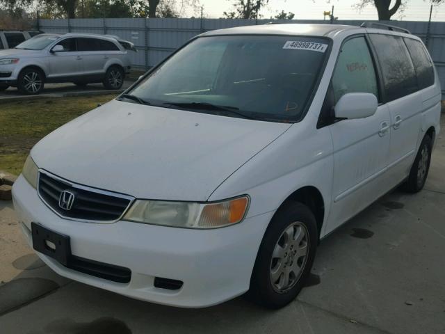 5FNRL18914B114491 - 2004 HONDA ODYSSEY EX WHITE photo 2