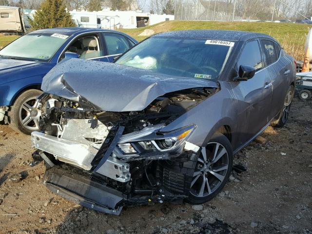 1N4AA6APXHC436922 - 2017 NISSAN MAXIMA 3.5 GRAY photo 2