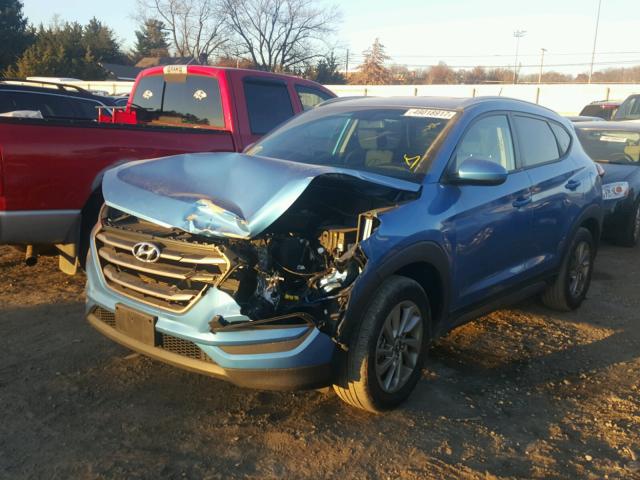 KM8J33A44GU145295 - 2016 HYUNDAI TUCSON LIM BLUE photo 2