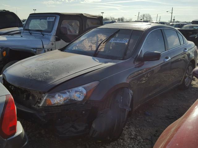 1HGCP3F83BA006994 - 2011 HONDA ACCORD EXL BROWN photo 2