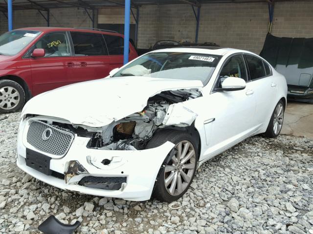 SAJWJ0EF9D8S84208 - 2013 JAGUAR XF WHITE photo 2