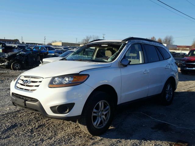 5XYZG3AB7BG005472 - 2011 HYUNDAI SANTA FE G WHITE photo 2