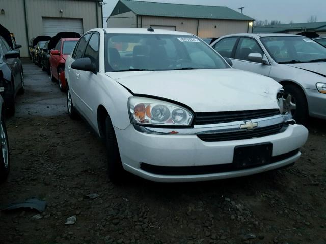 1G1ZT54895F289291 - 2005 CHEVROLET MALIBU LS თეთრი ფოტო 1
