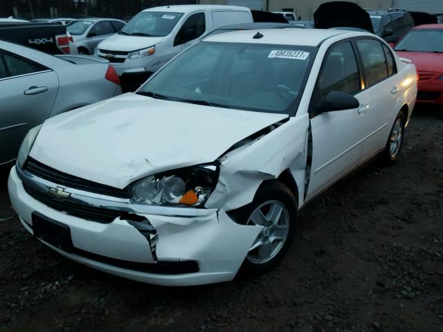 1G1ZT54895F289291 - 2005 CHEVROLET MALIBU LS WHITE photo 2