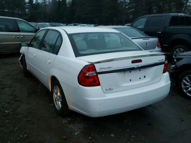 1G1ZT54895F289291 - 2005 CHEVROLET MALIBU LS თეთრი ფოტო 3