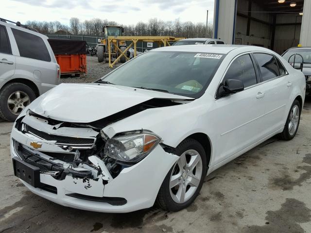 1G1ZB5E17BF232331 - 2011 CHEVROLET MALIBU LS თეთრი ფოტო 2