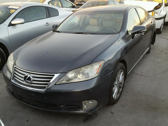 JTHBK1EG8A2361561 - 2010 LEXUS ES 350 GRAY photo 2