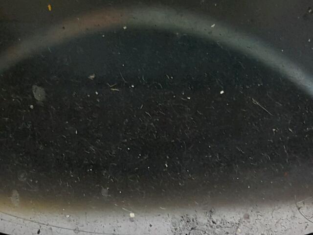 1G1ZA5E10BF161637 - 2011 CHEVROLET MALIBU LS BLUE photo 8