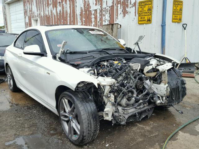 WBA1F7C51FVX95930 - 2015 BMW 228 XI WHITE photo 1