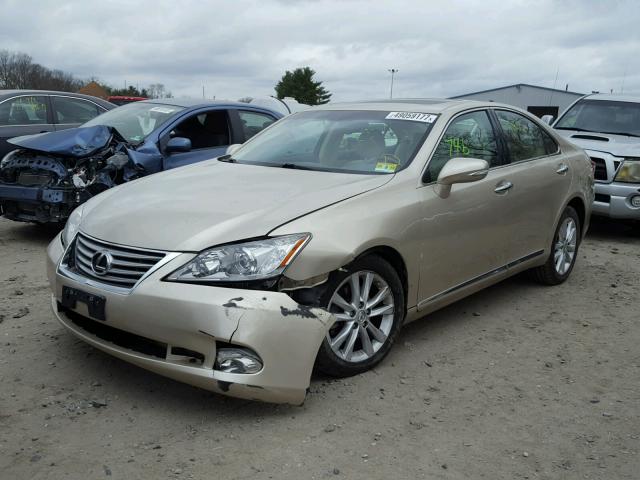 JTHBK1EG7B2438566 - 2011 LEXUS ES 350 BEIGE photo 2