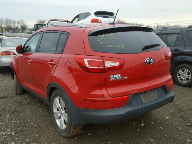 KNDPBCA29C7307480 - 2012 KIA SPORTAGE L RED photo 3